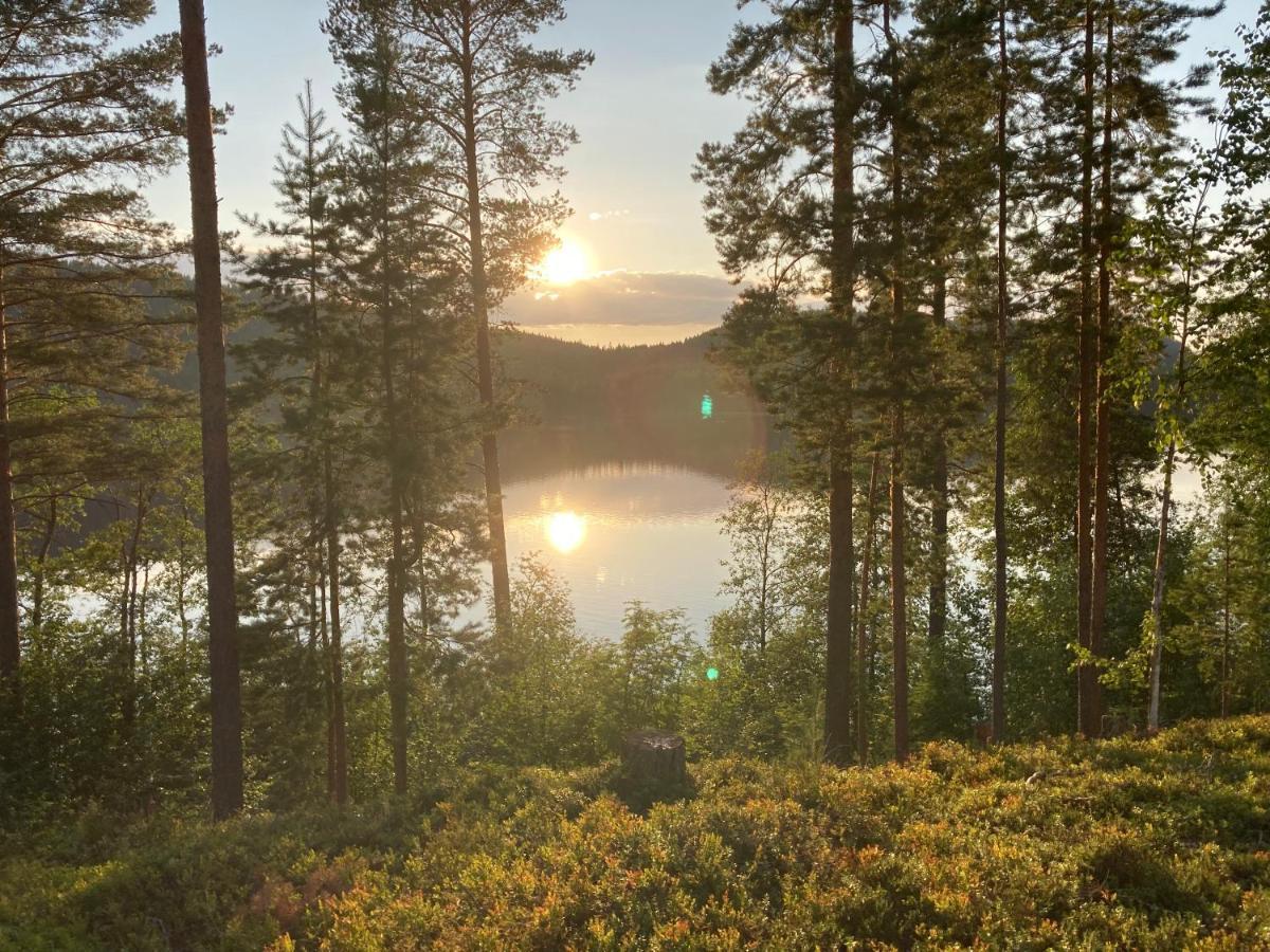 Koli Caravan Cottages 외부 사진